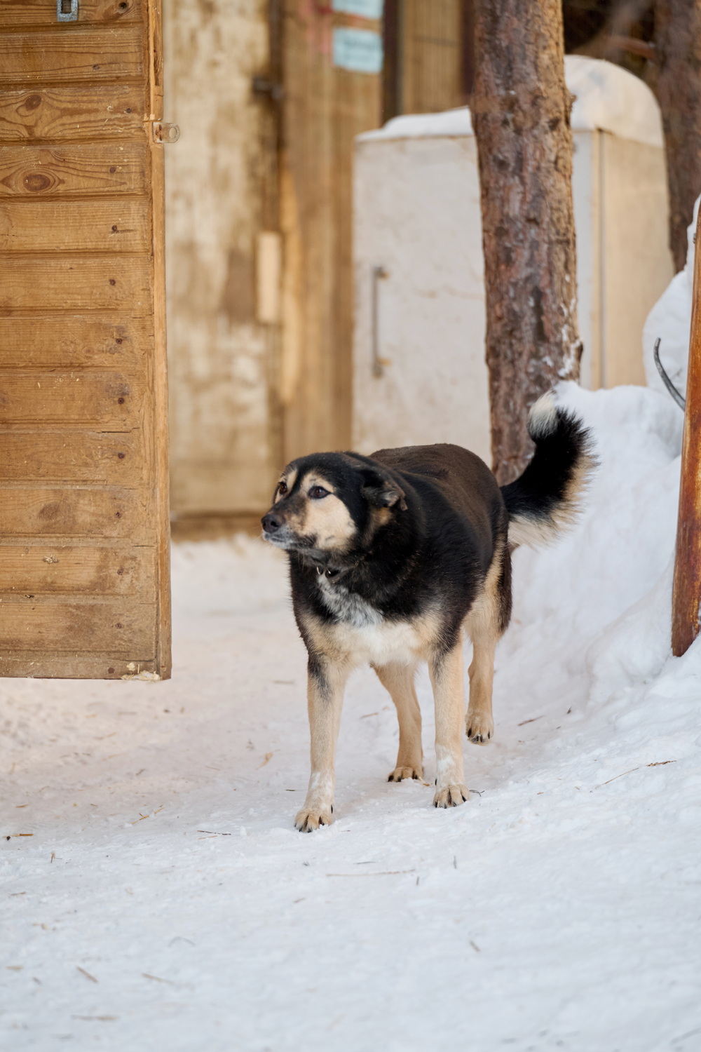 ph: Анна Молодожён