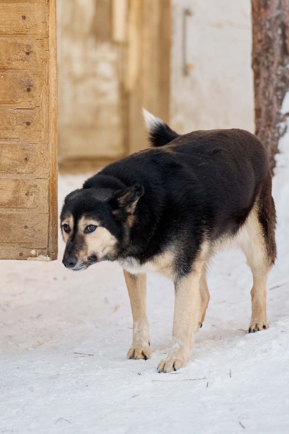 ph: Анна Молодожён