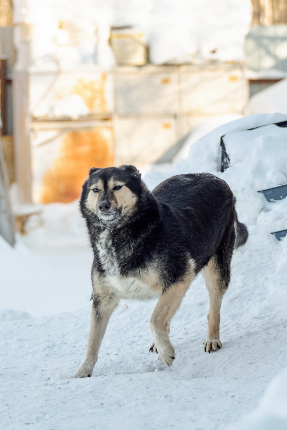 ph: Анна Молодожён