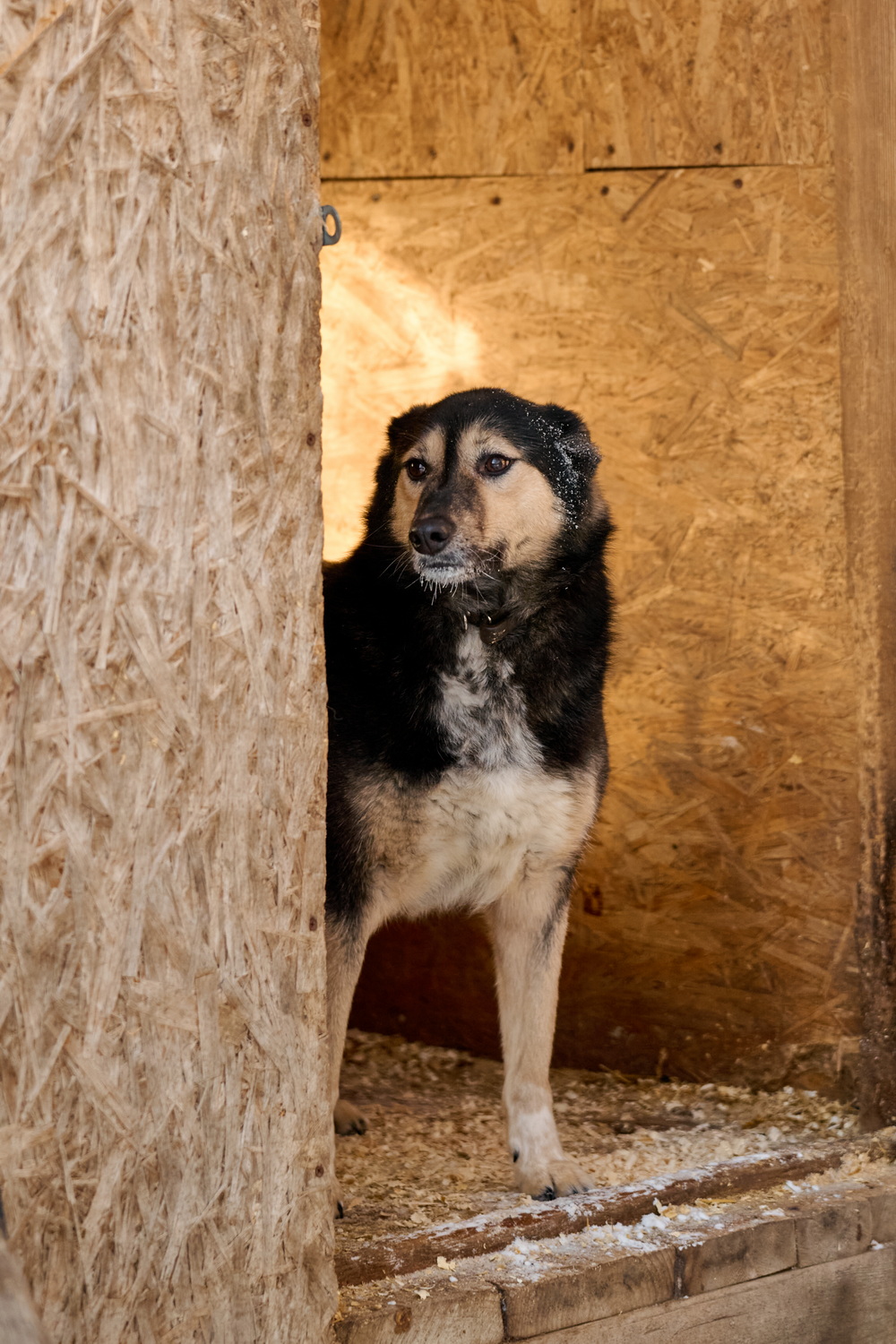 ph: Анна Молодожён