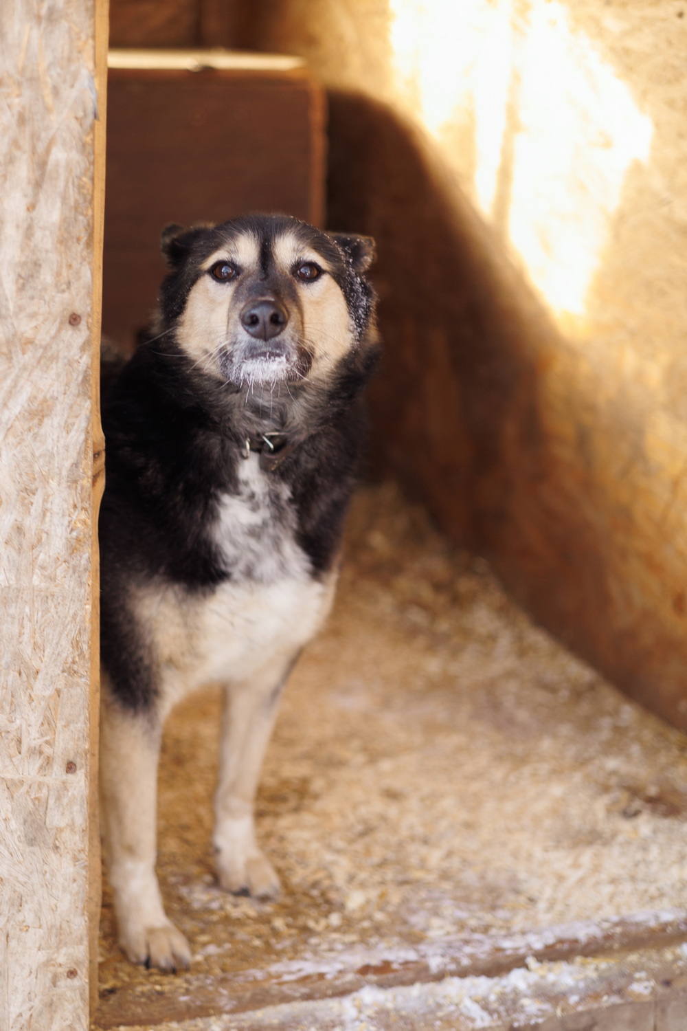 ph: Елена Тимофеева