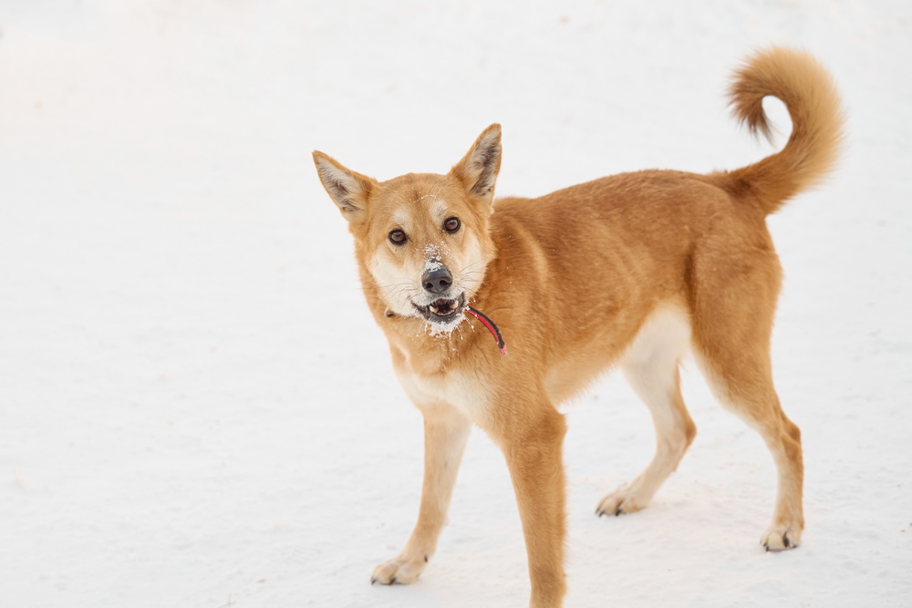 ph: Анна Молодожён