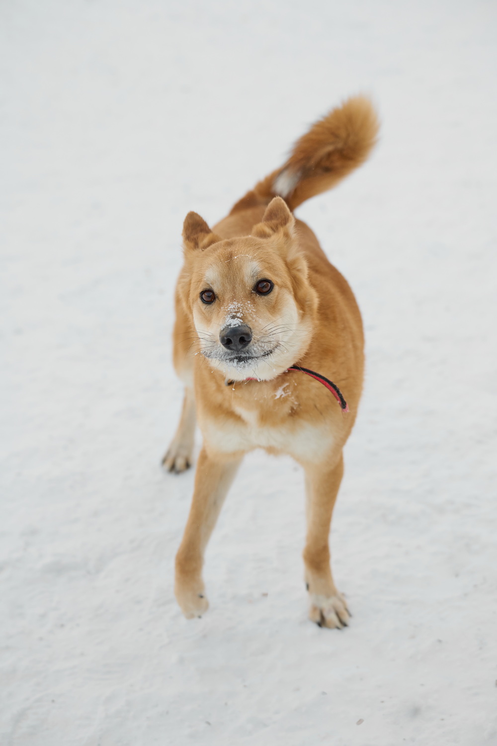 ph: Анна Молодожён