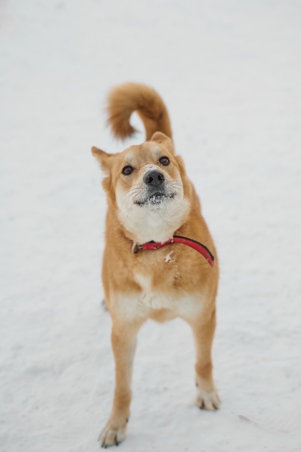 ph: Анна Молодожён