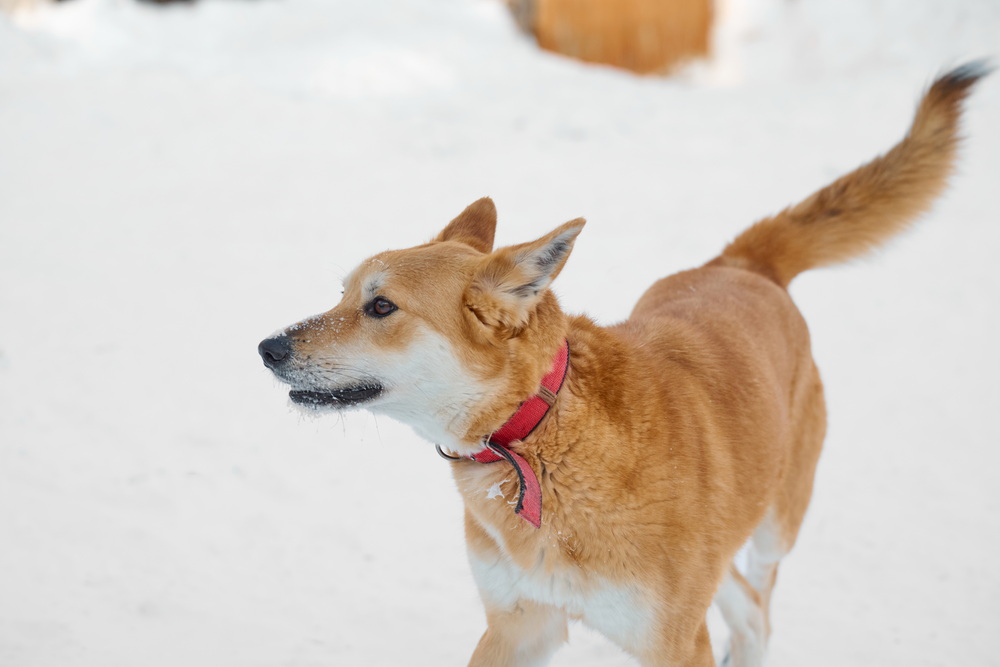 ph: Анна Молодожён