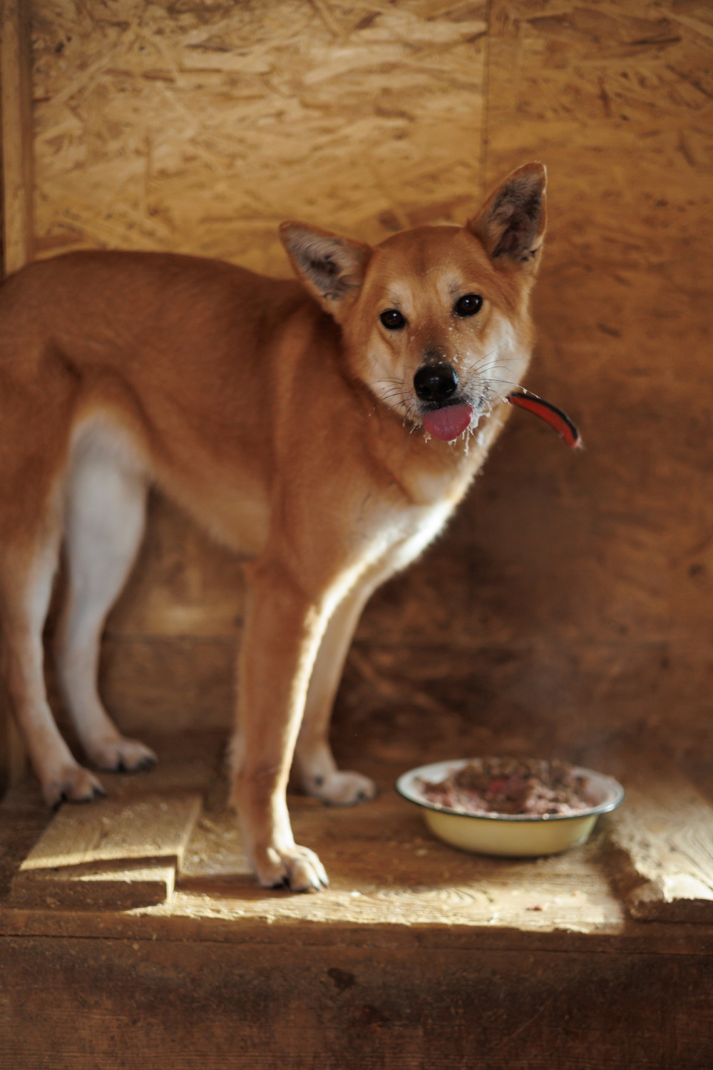 ph: Елена Тимофеева