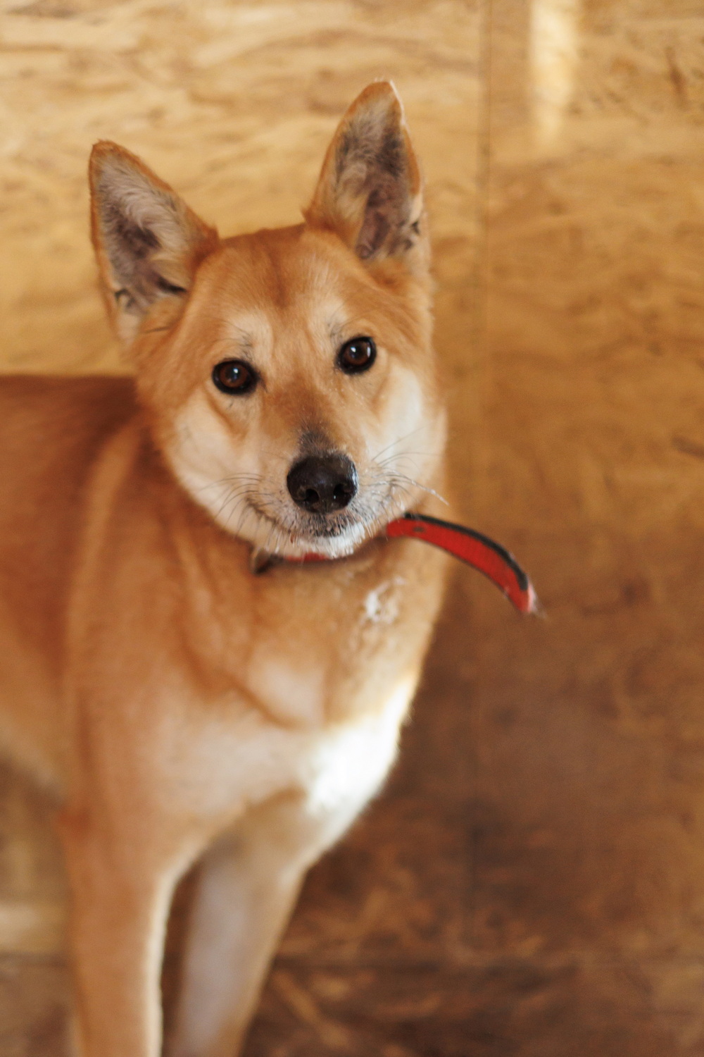 ph: Елена Тимофеева