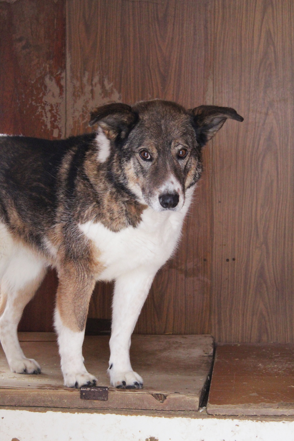 ph: Диана Стафеева