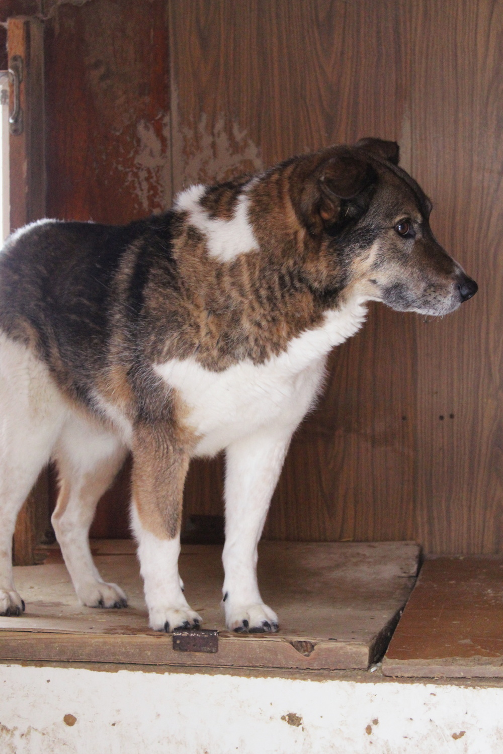 ph: Диана Стафеева