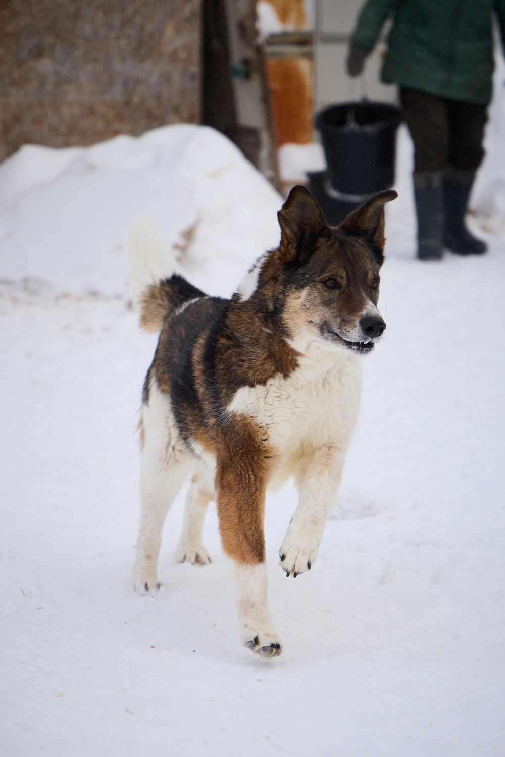 ph: Николай Коба