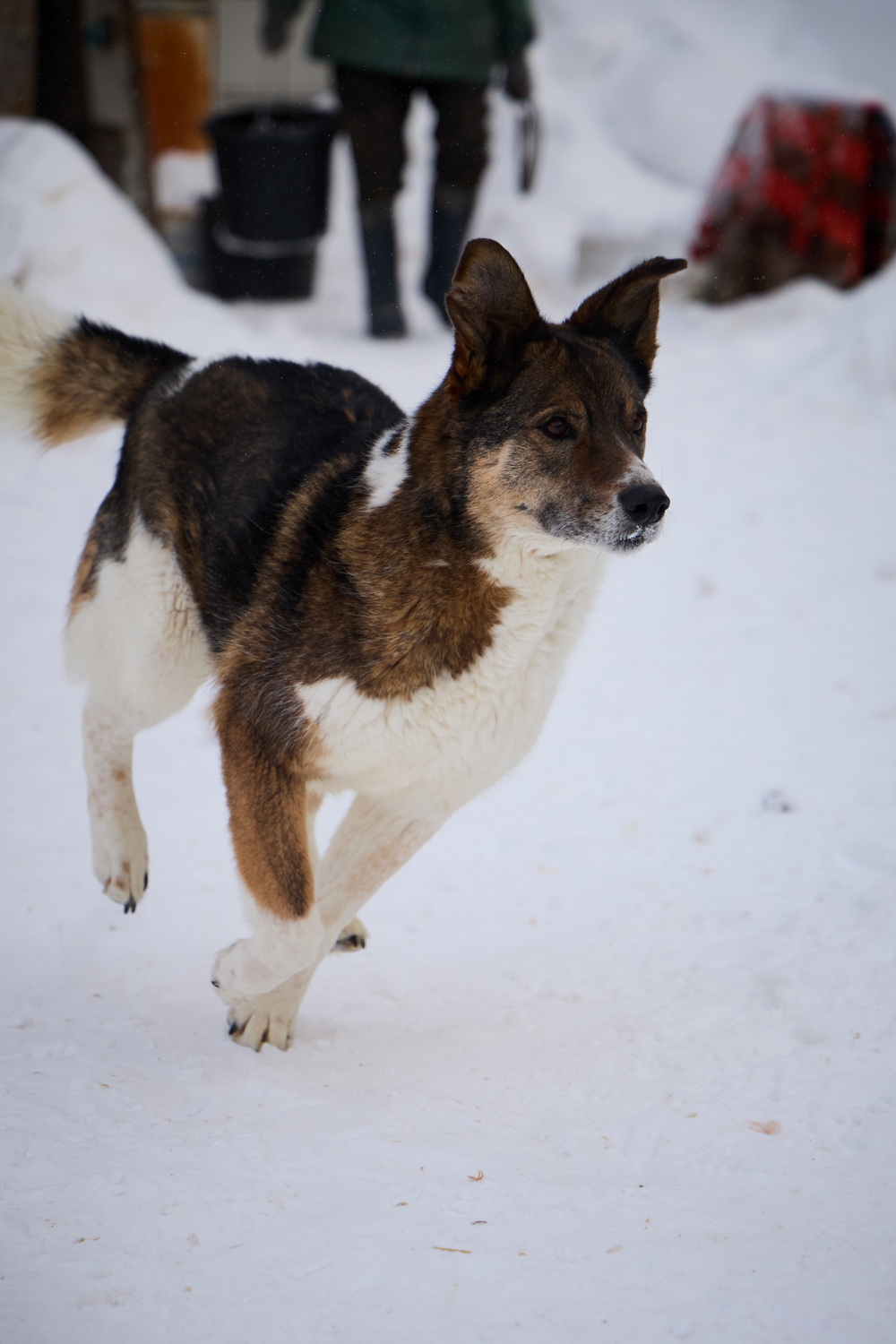 ph: Николай Коба
