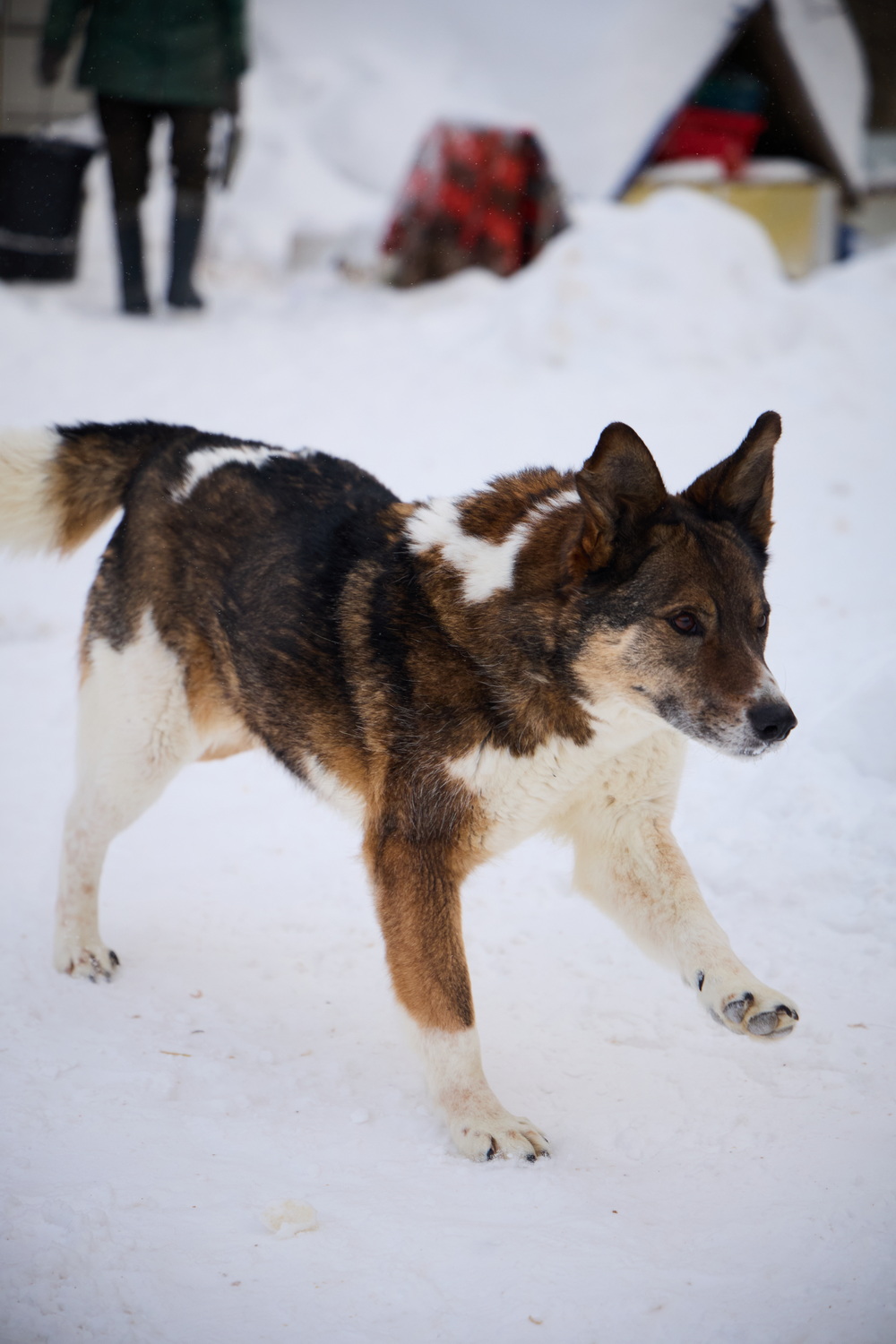 ph: Николай Коба