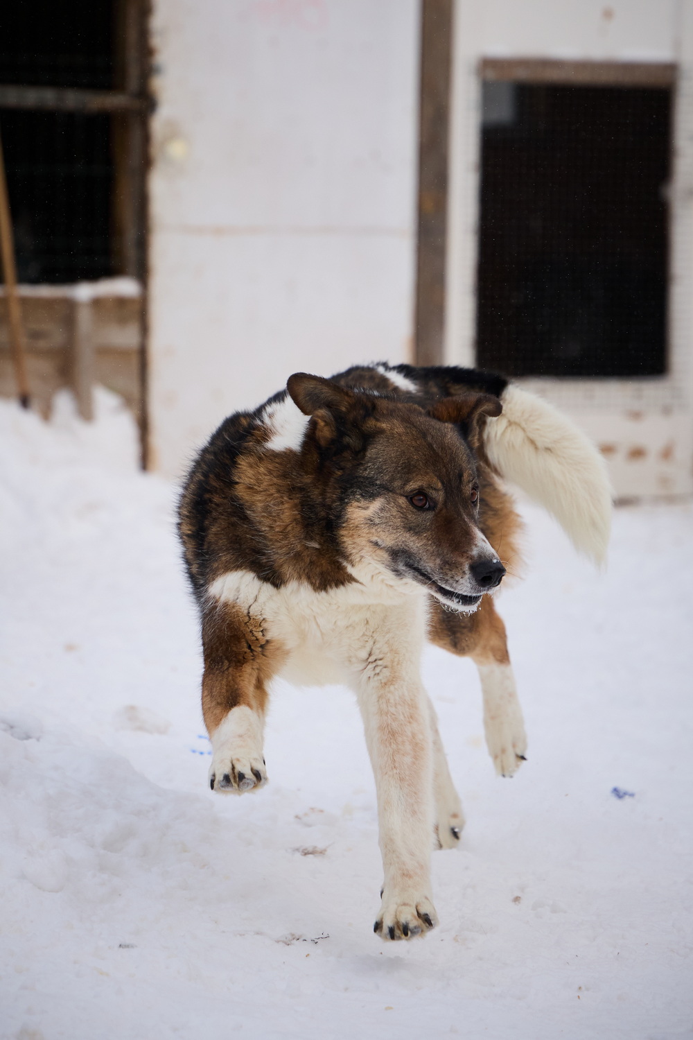 ph: Николай Коба