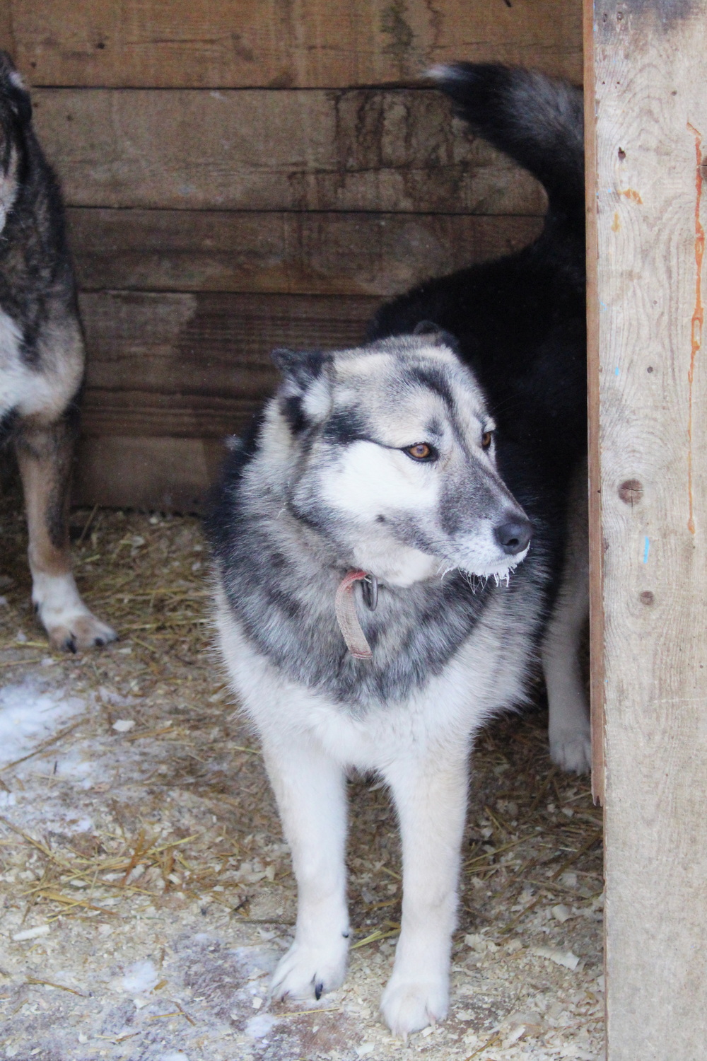 ph: Диана Стафеева