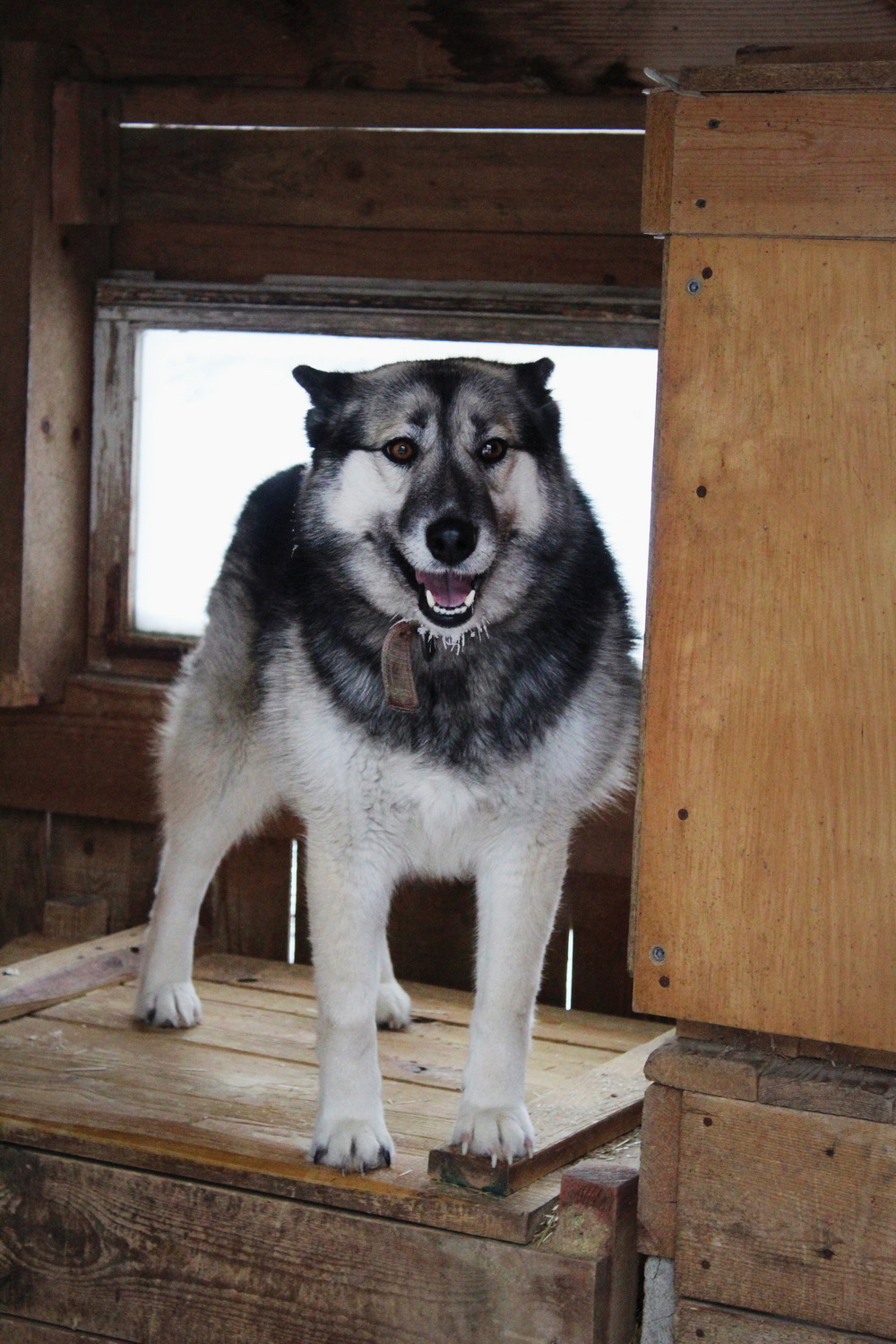 ph: Диана Стафеева