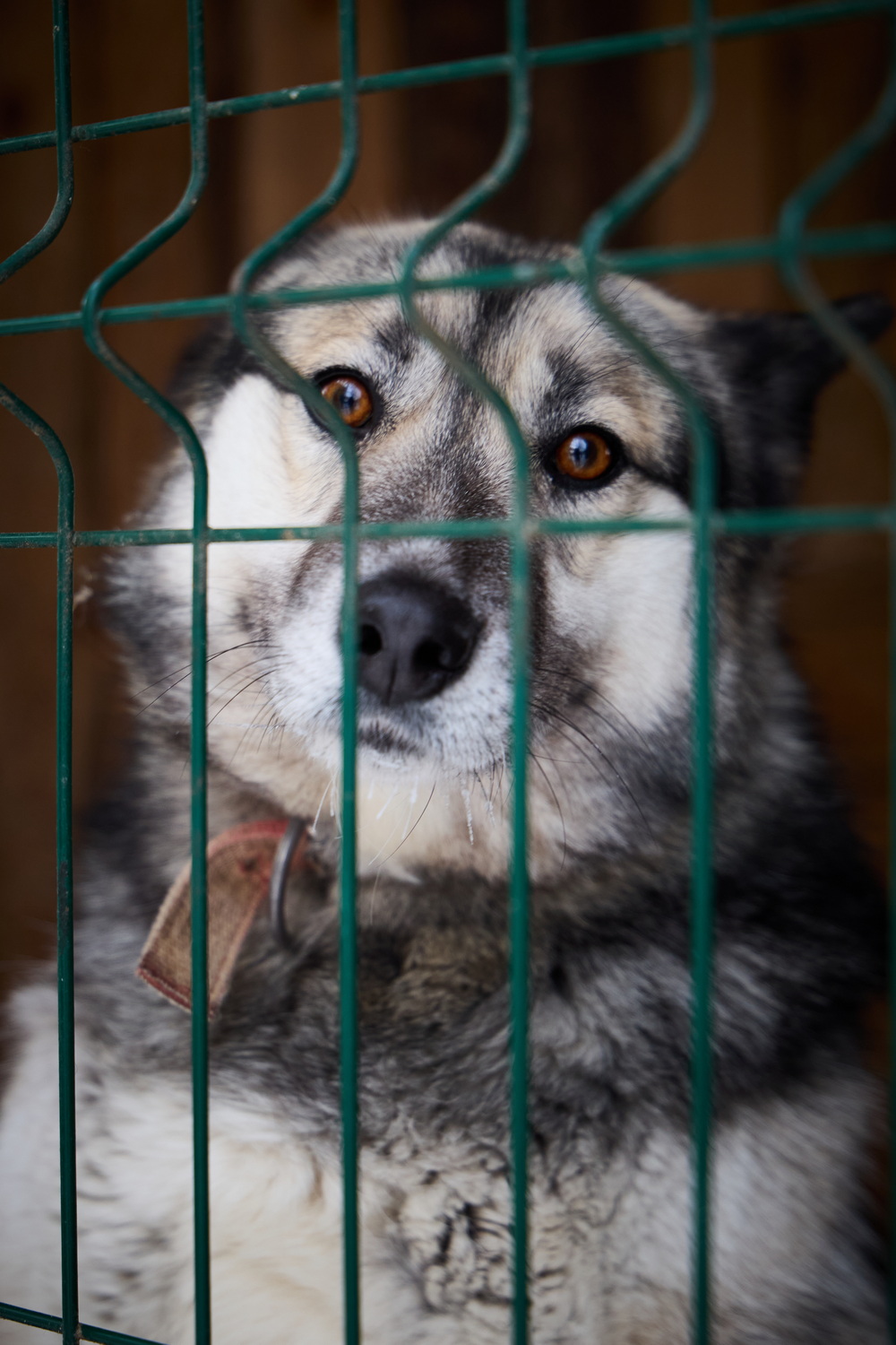 ph: Николай Коба