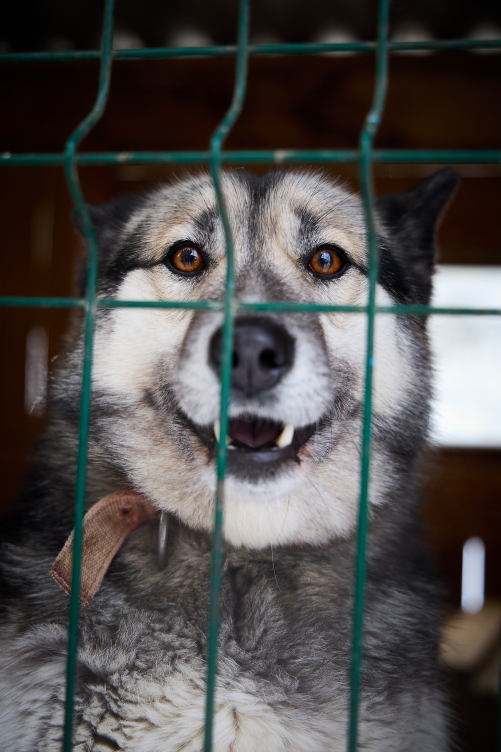 ph: Николай Коба