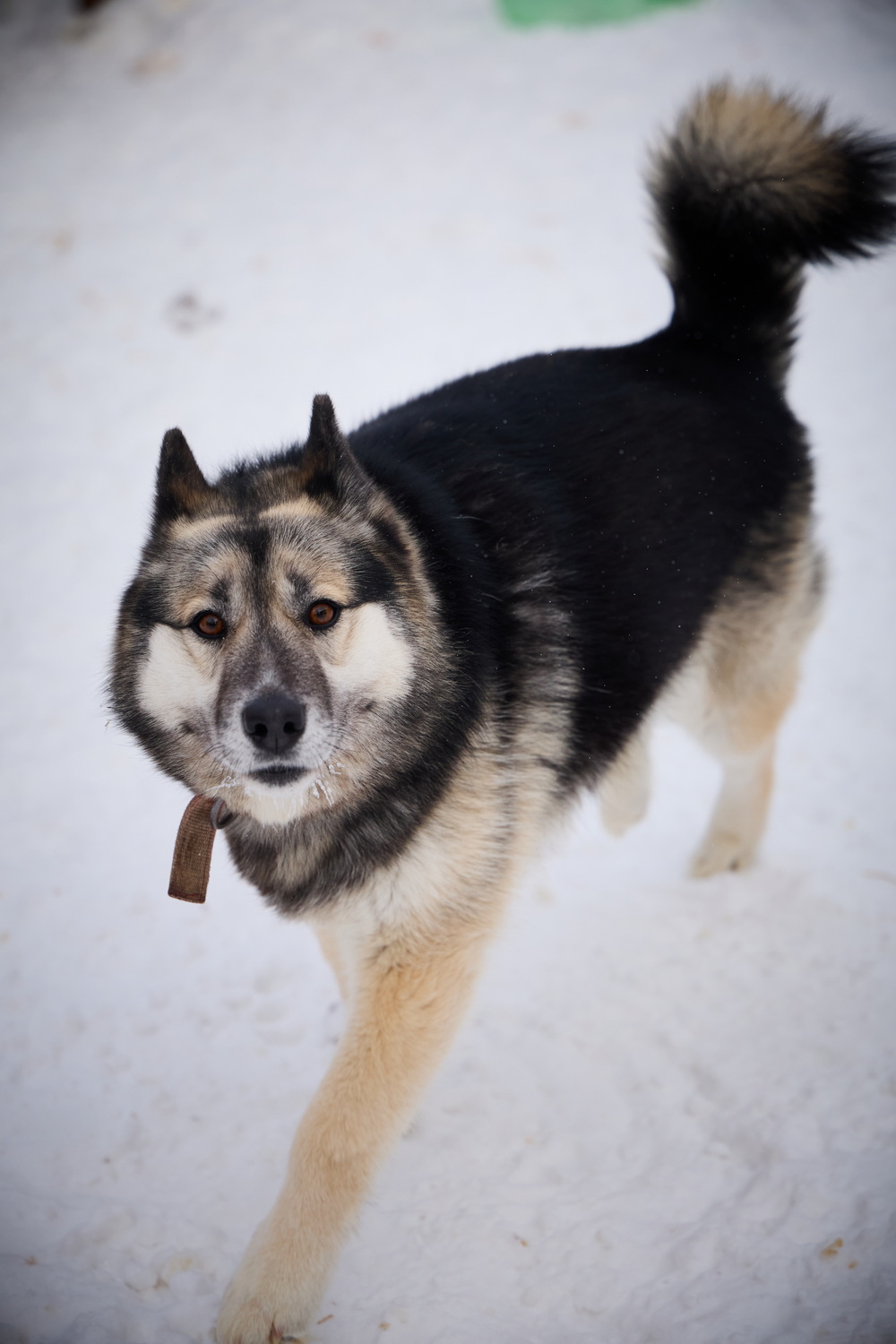 ph: Николай Коба