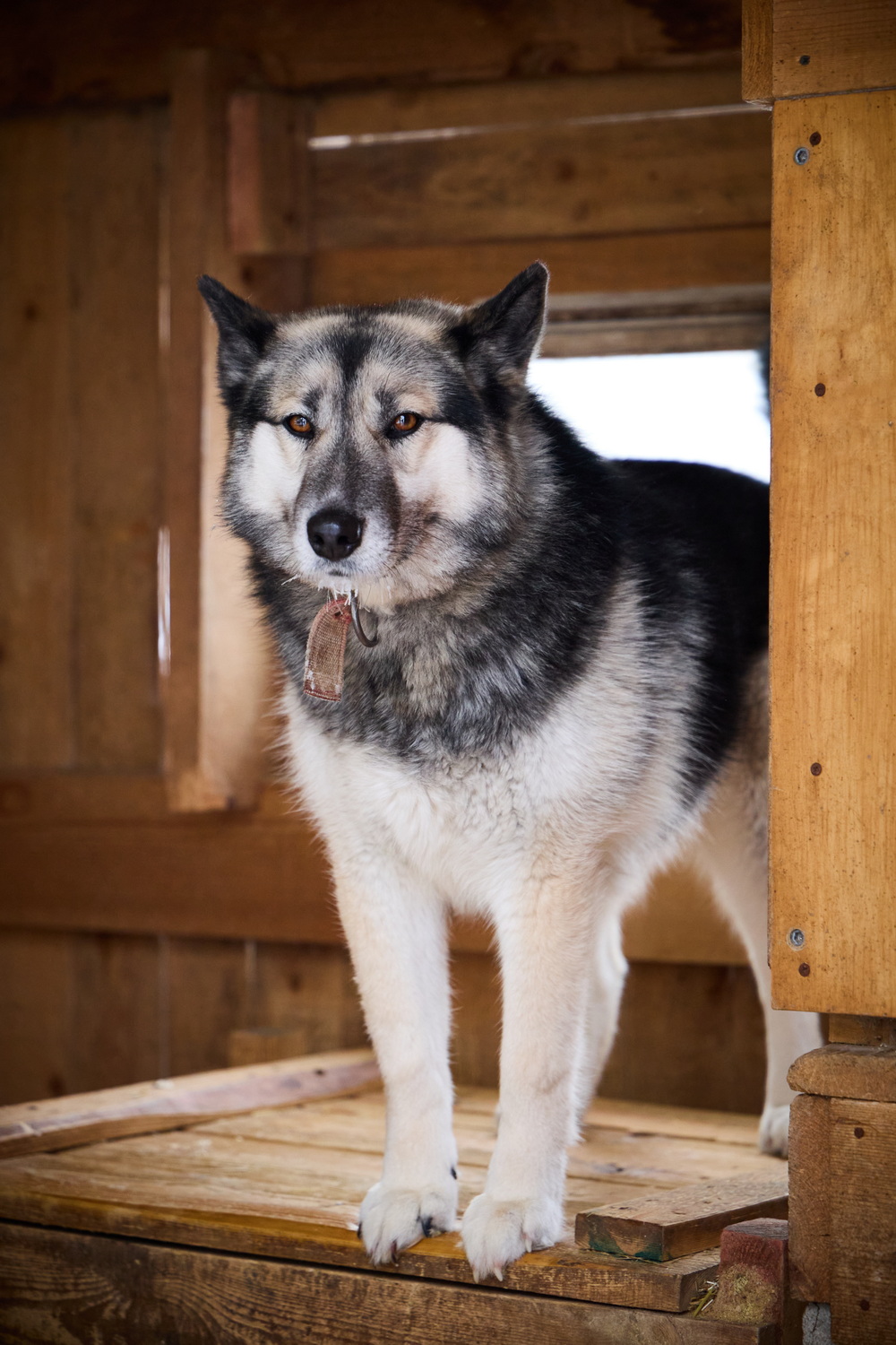 ph: Николай Коба