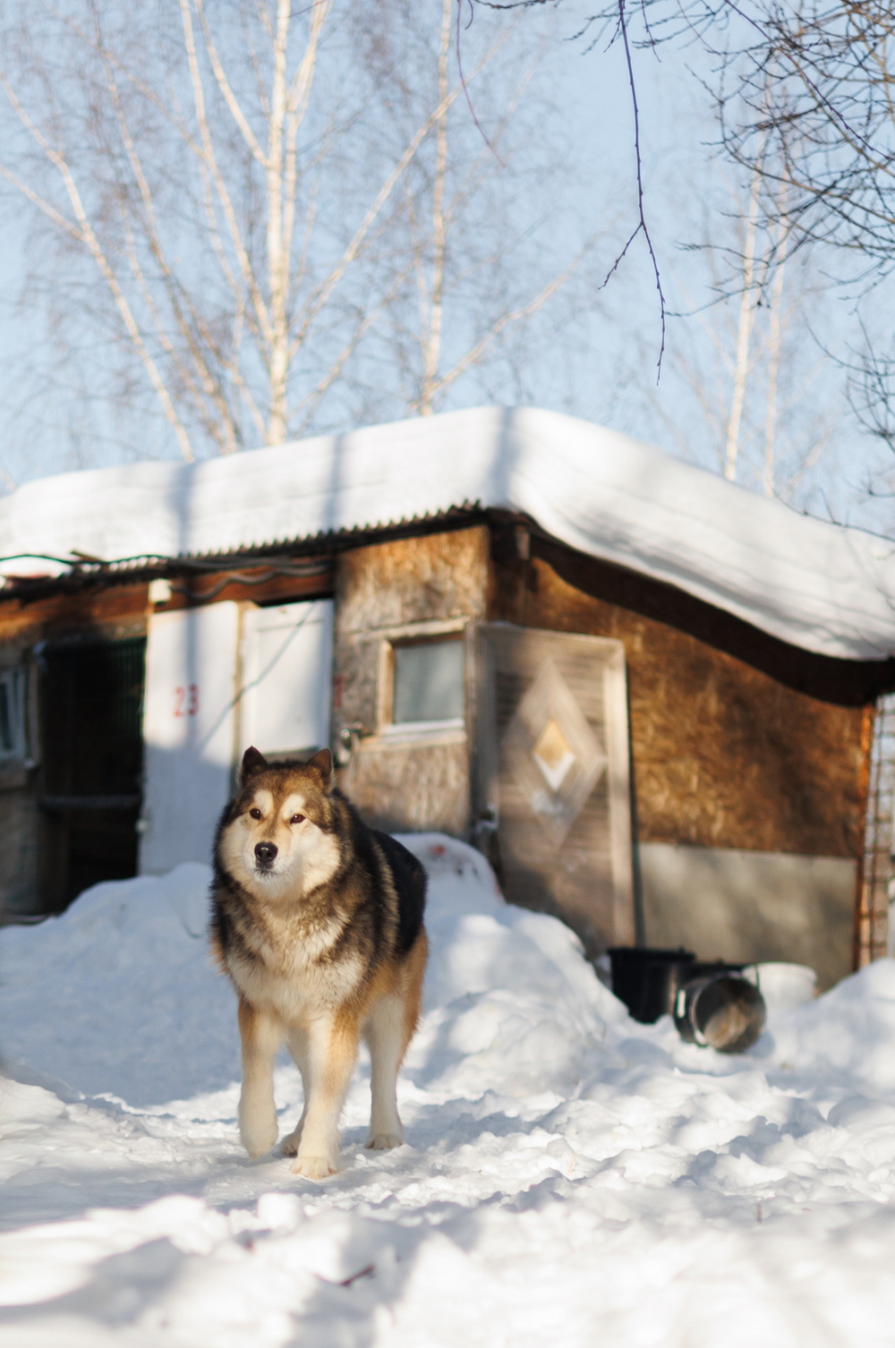 ph: Елена Тимофеева