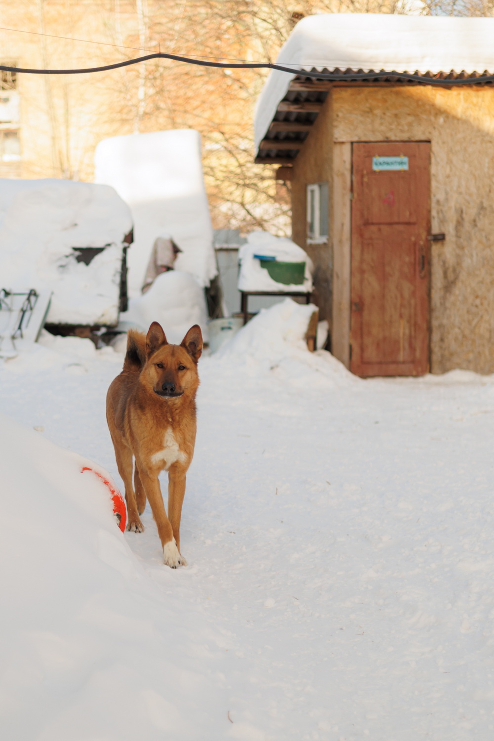 ph: Елена Тимофеева