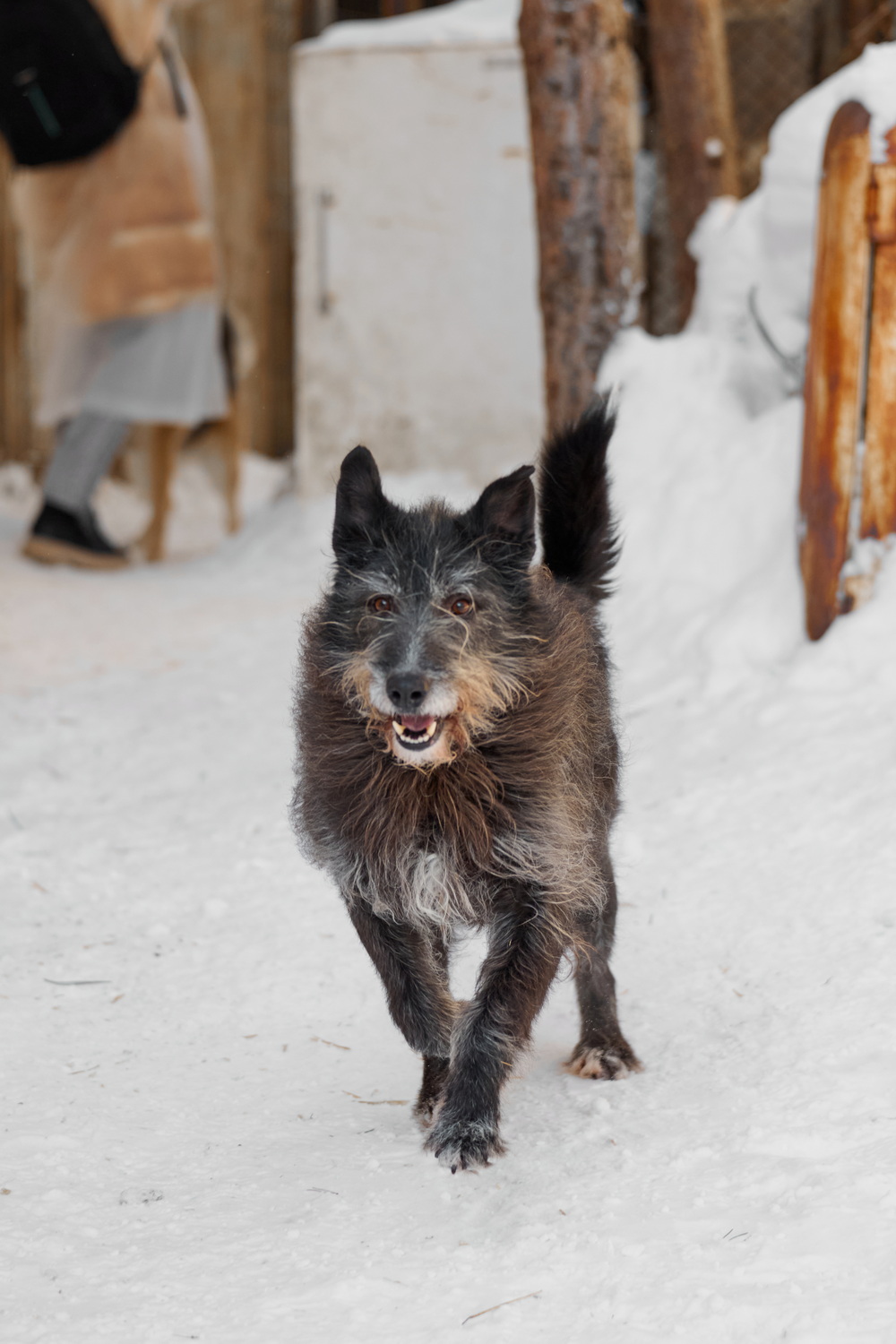 ph: Анна Молодожён