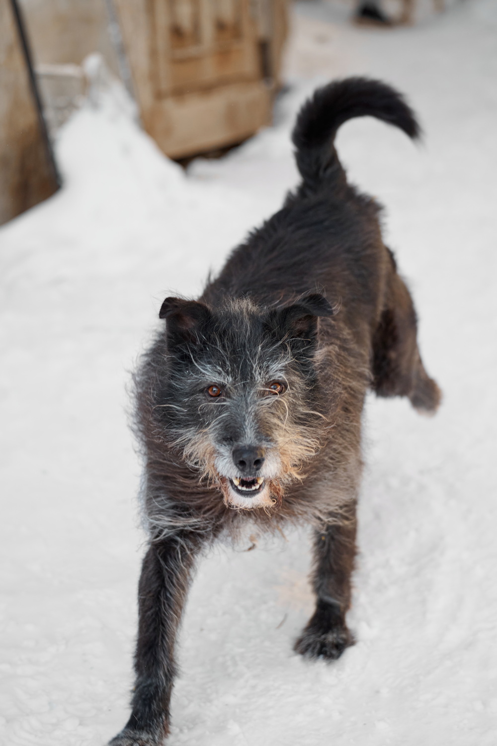 ph: Анна Молодожён