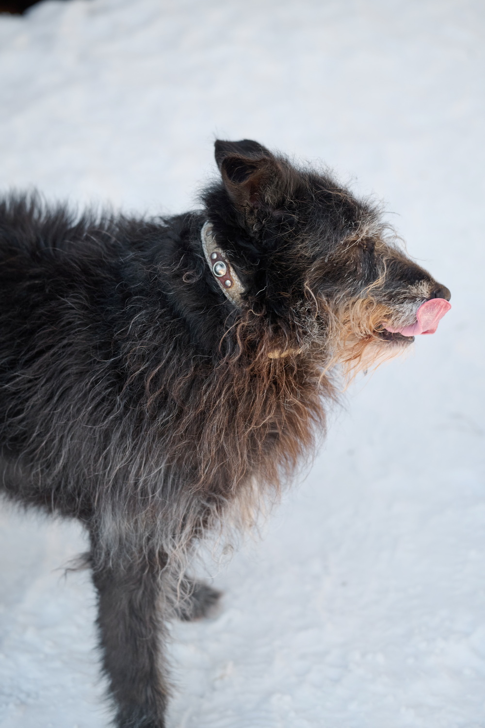 ph: Анна Молодожён