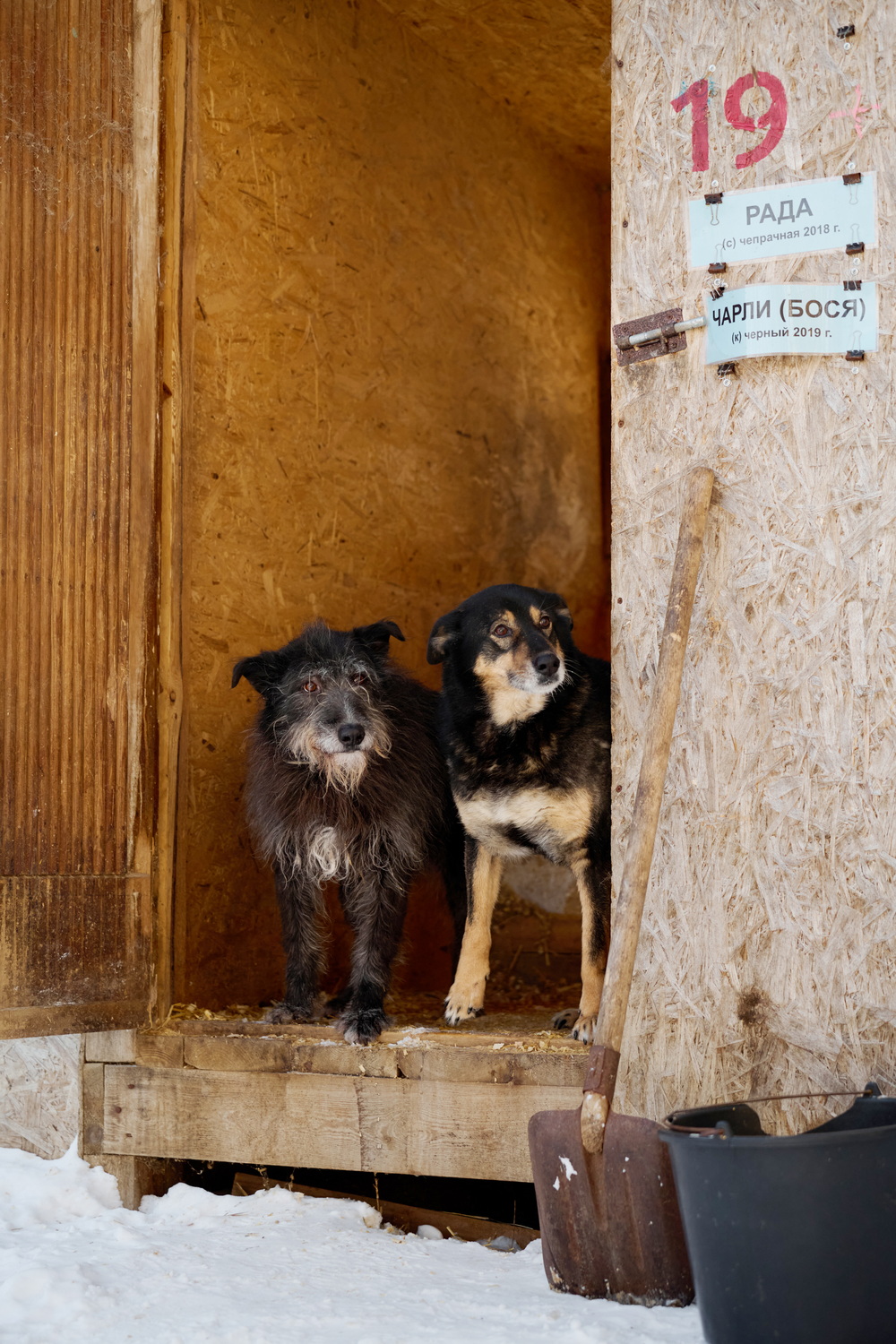 ph: Анна Молодожён