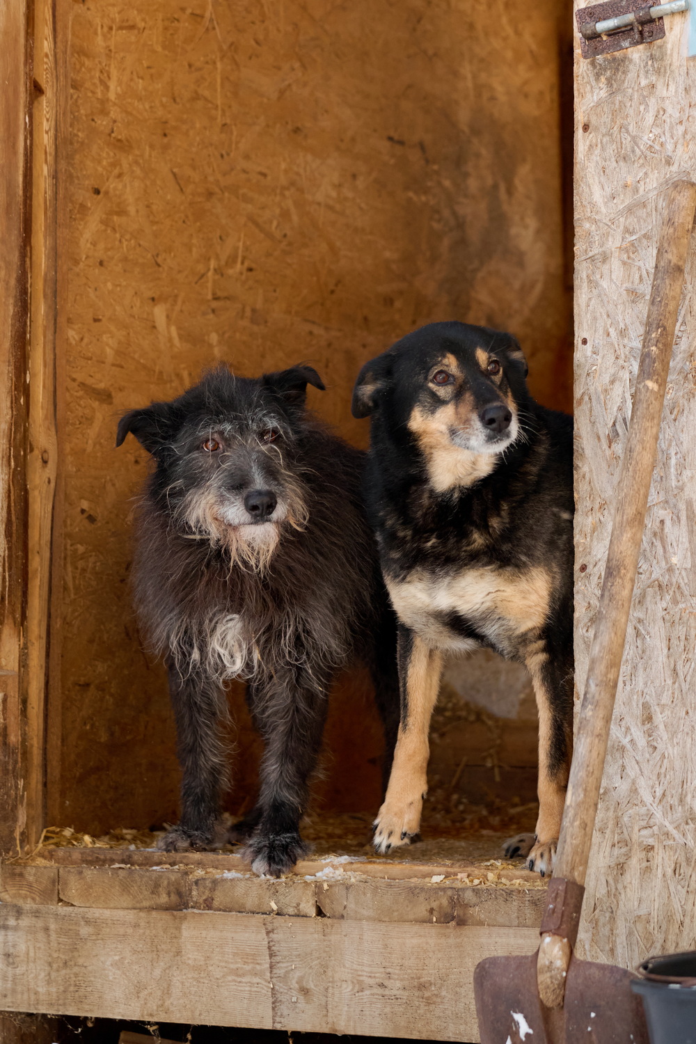 ph: Анна Молодожён