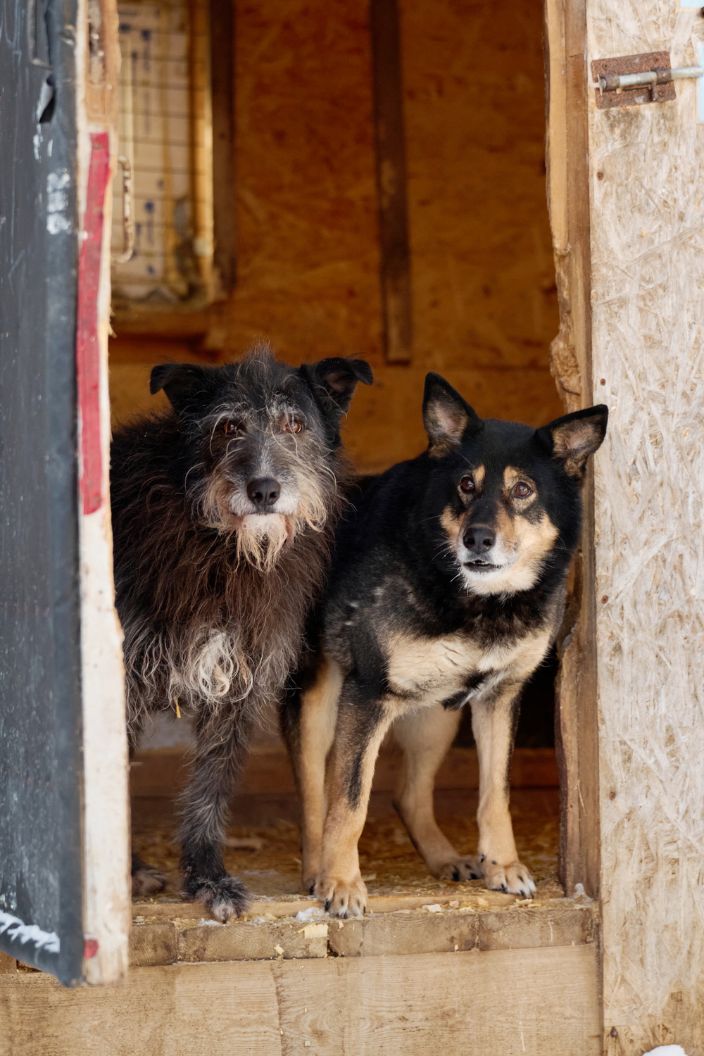 ph: Анна Молодожён