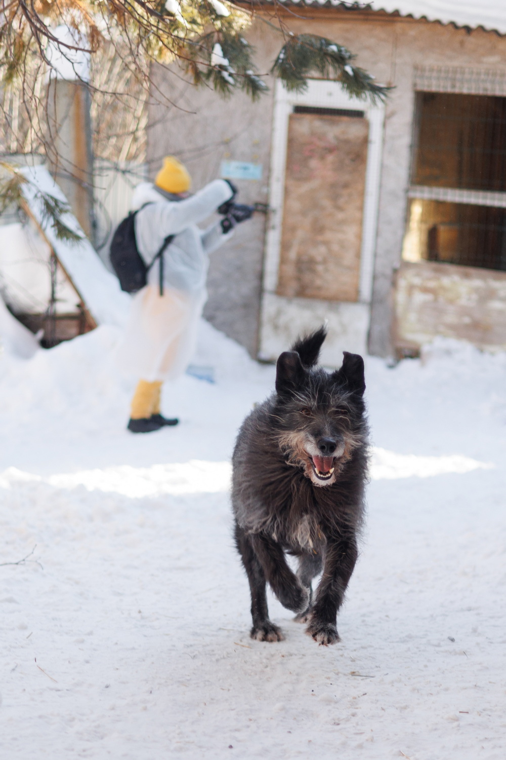 ph: Елена Тимофеева