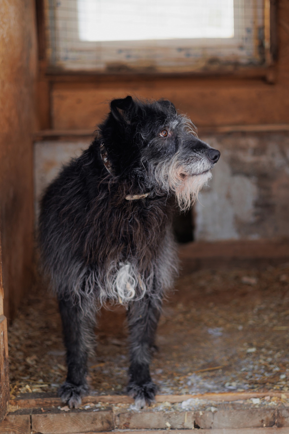 ph: Елена Тимофеева