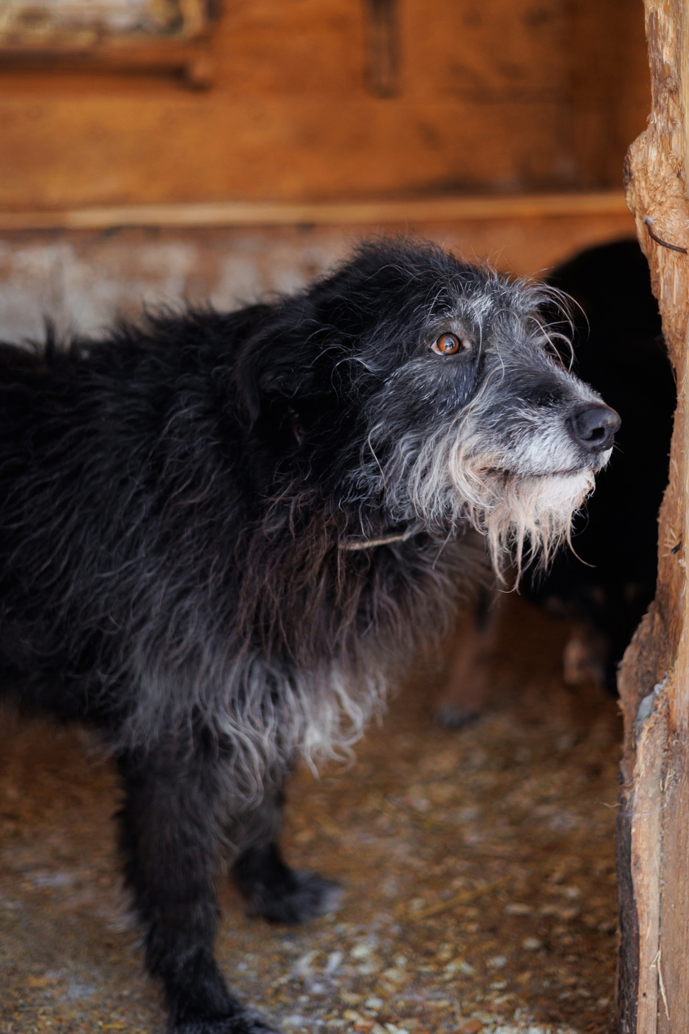 ph: Елена Тимофеева