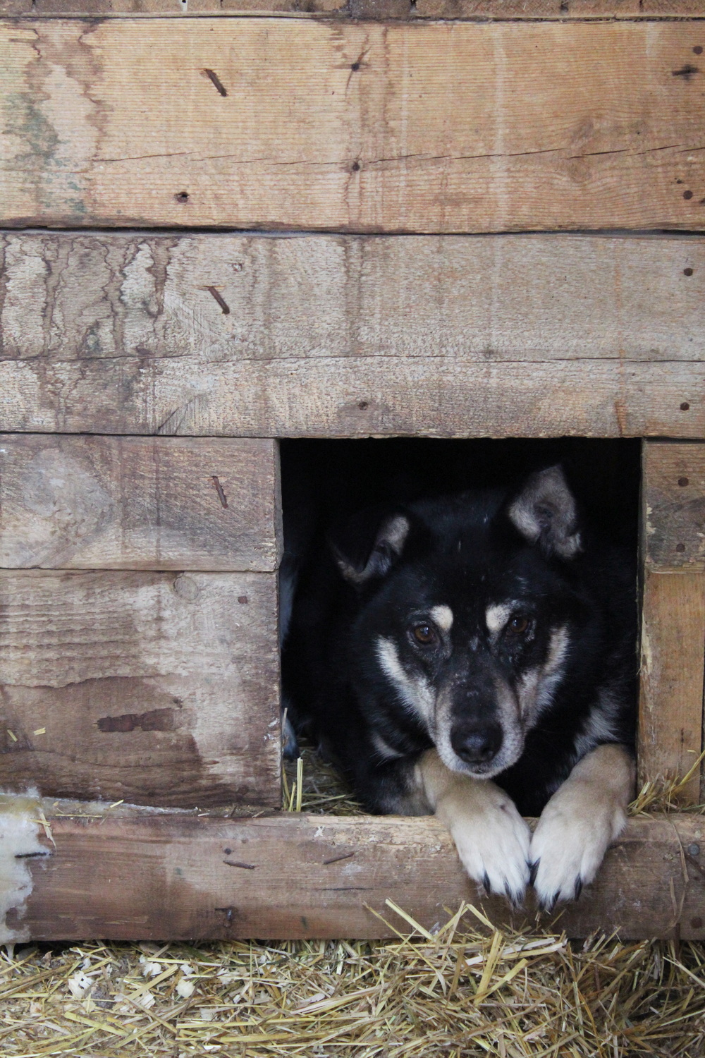 ph: Диана Стафеева