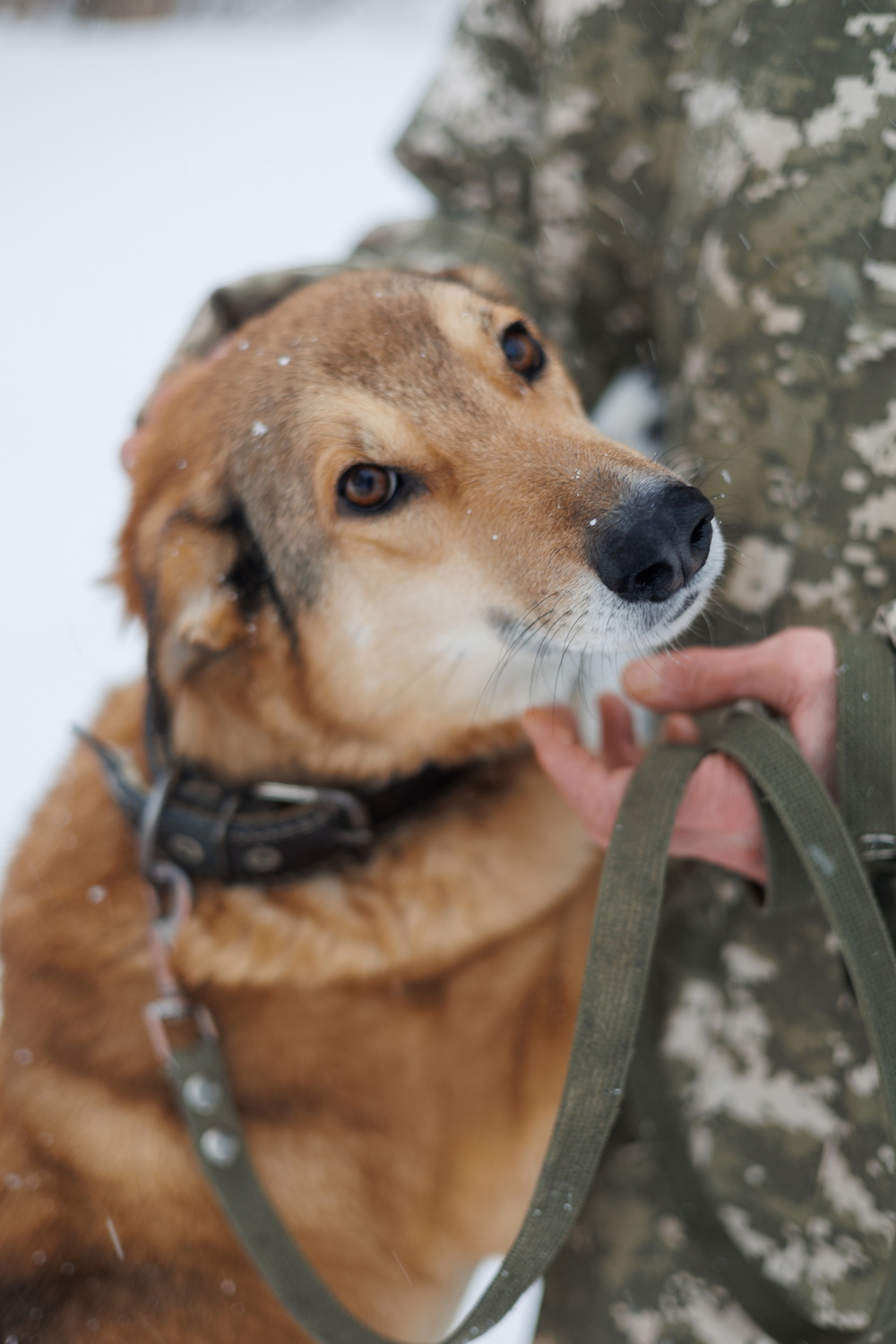 ph: Елена Тимофеева