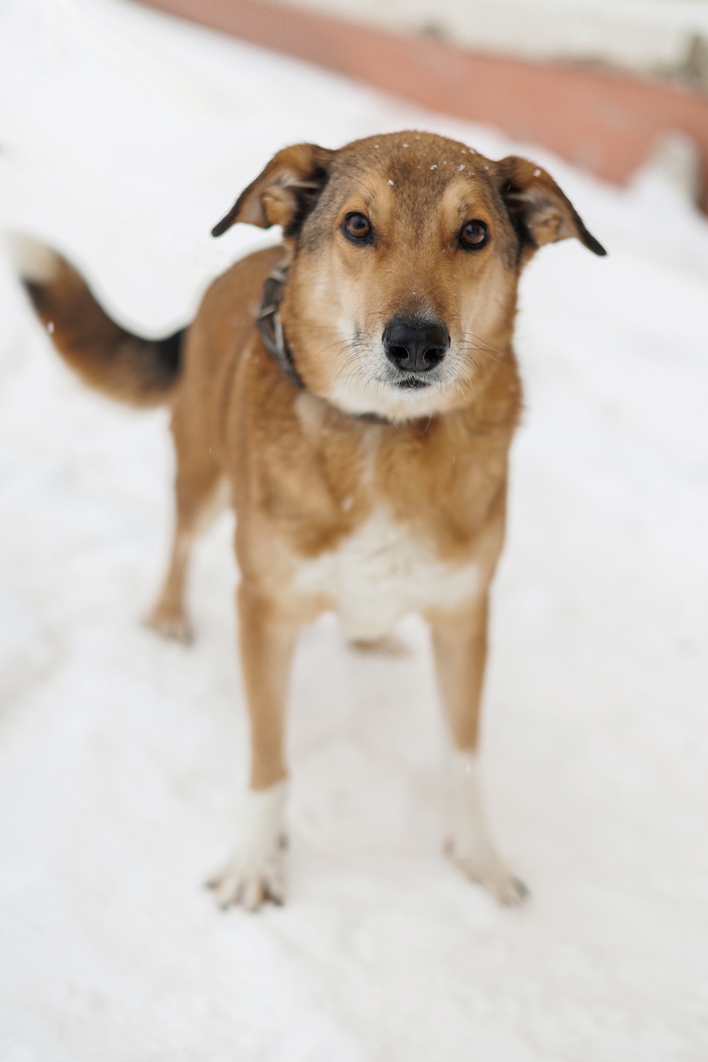 ph: Елена Тимофеева