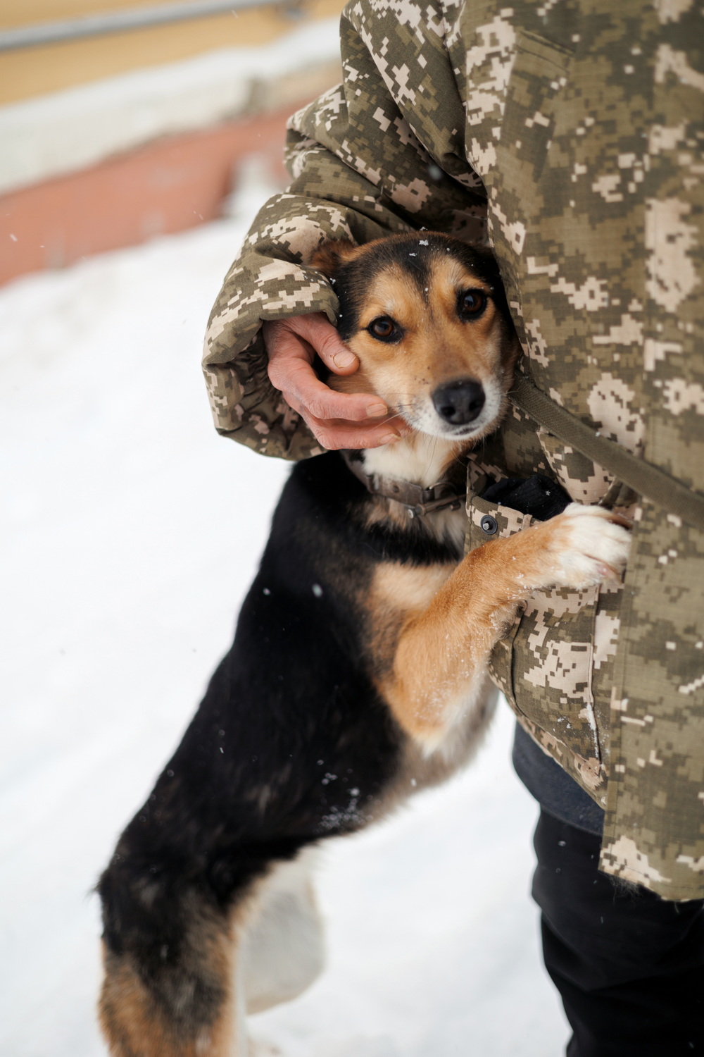 ph: Елена Тимофеева