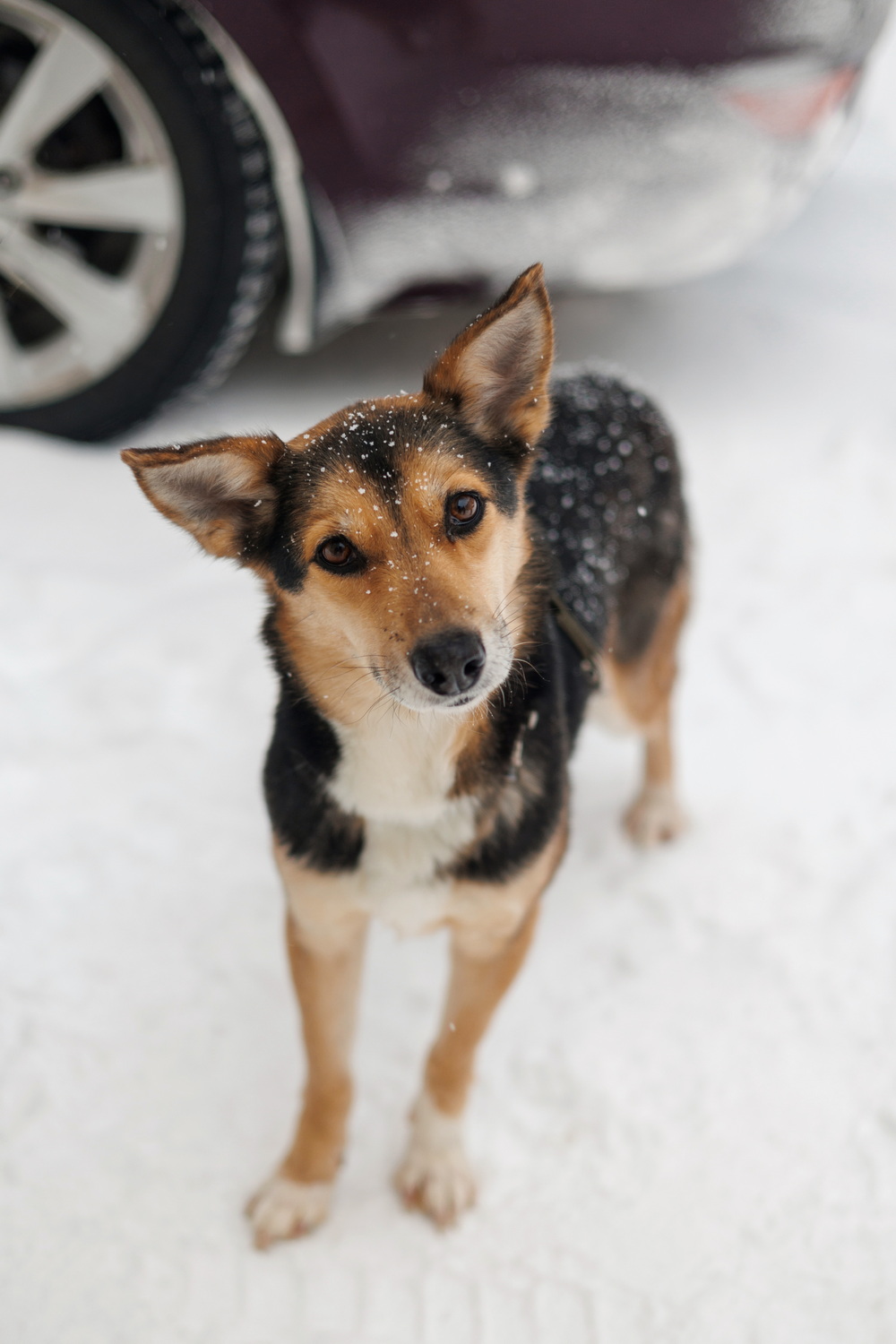 ph: Елена Тимофеева