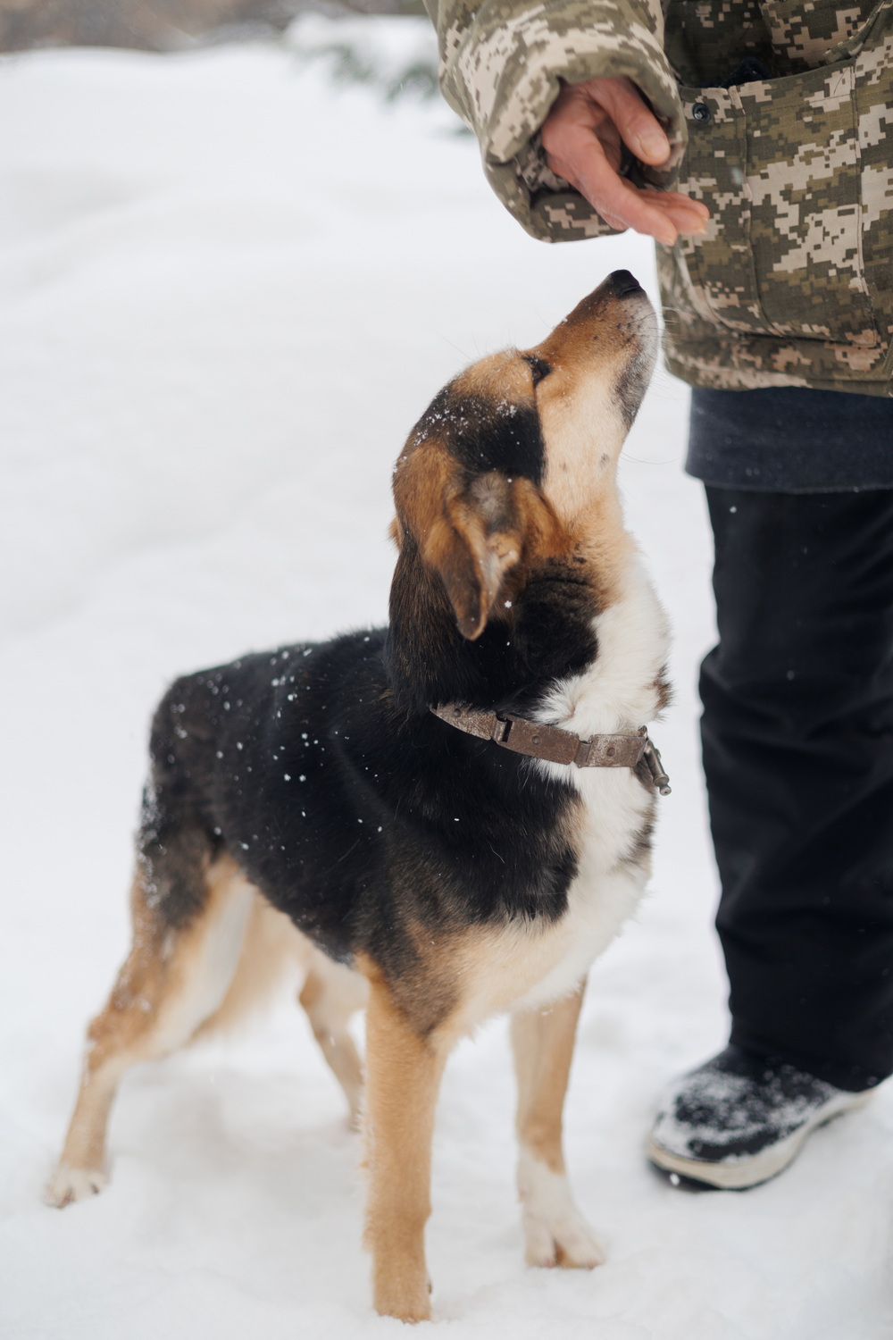 ph: Елена Тимофеева