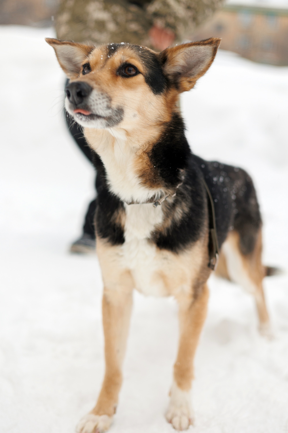 ph: Елена Тимофеева