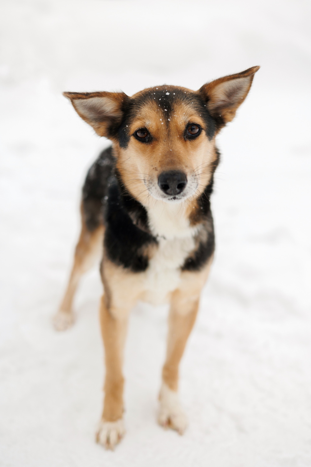 ph: Елена Тимофеева