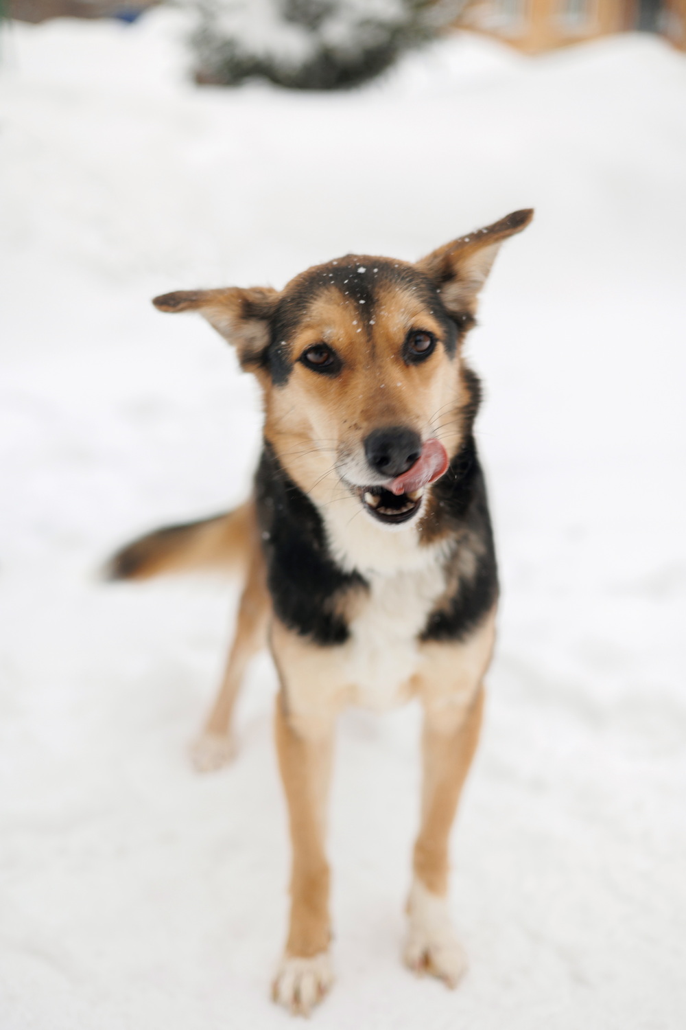 ph: Елена Тимофеева