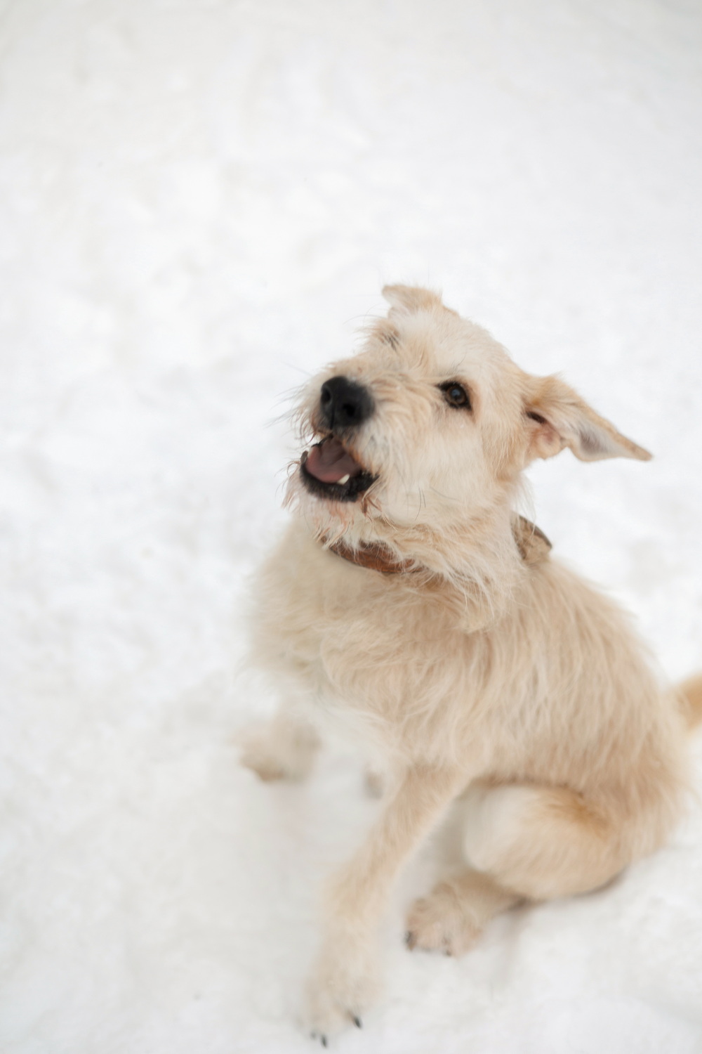 ph: Елена Тимофеева