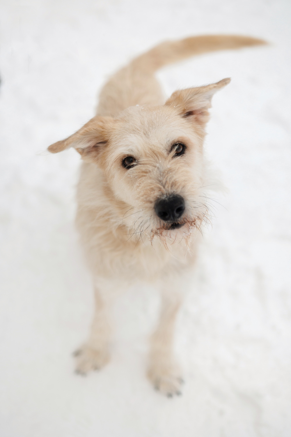 ph: Елена Тимофеева