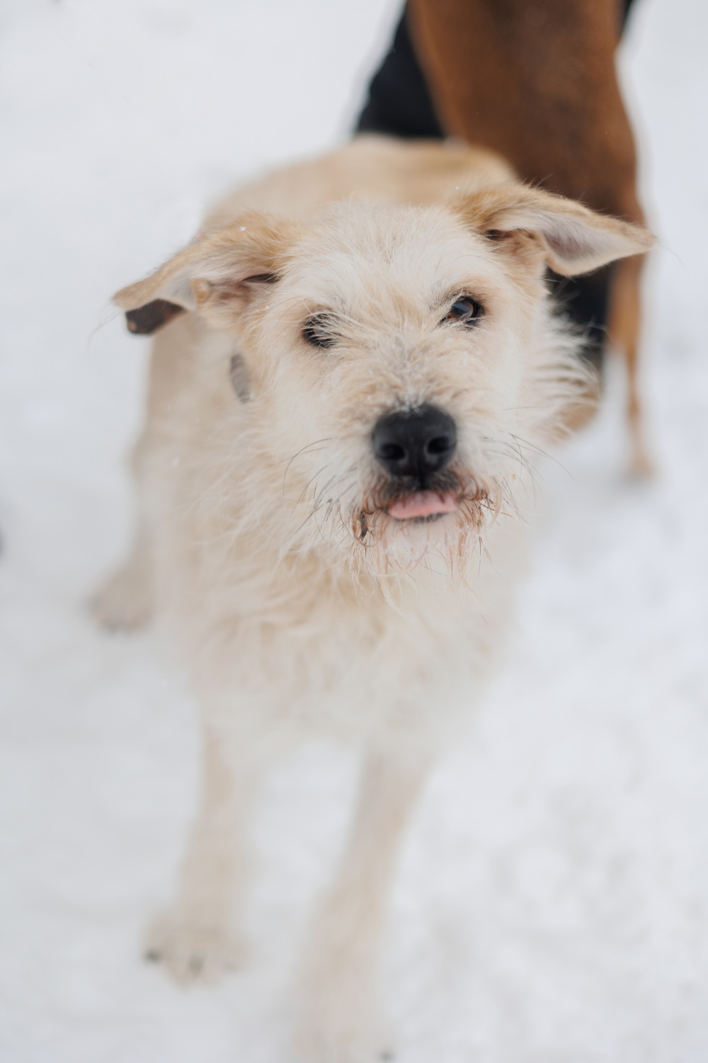 ph: Елена Тимофеева