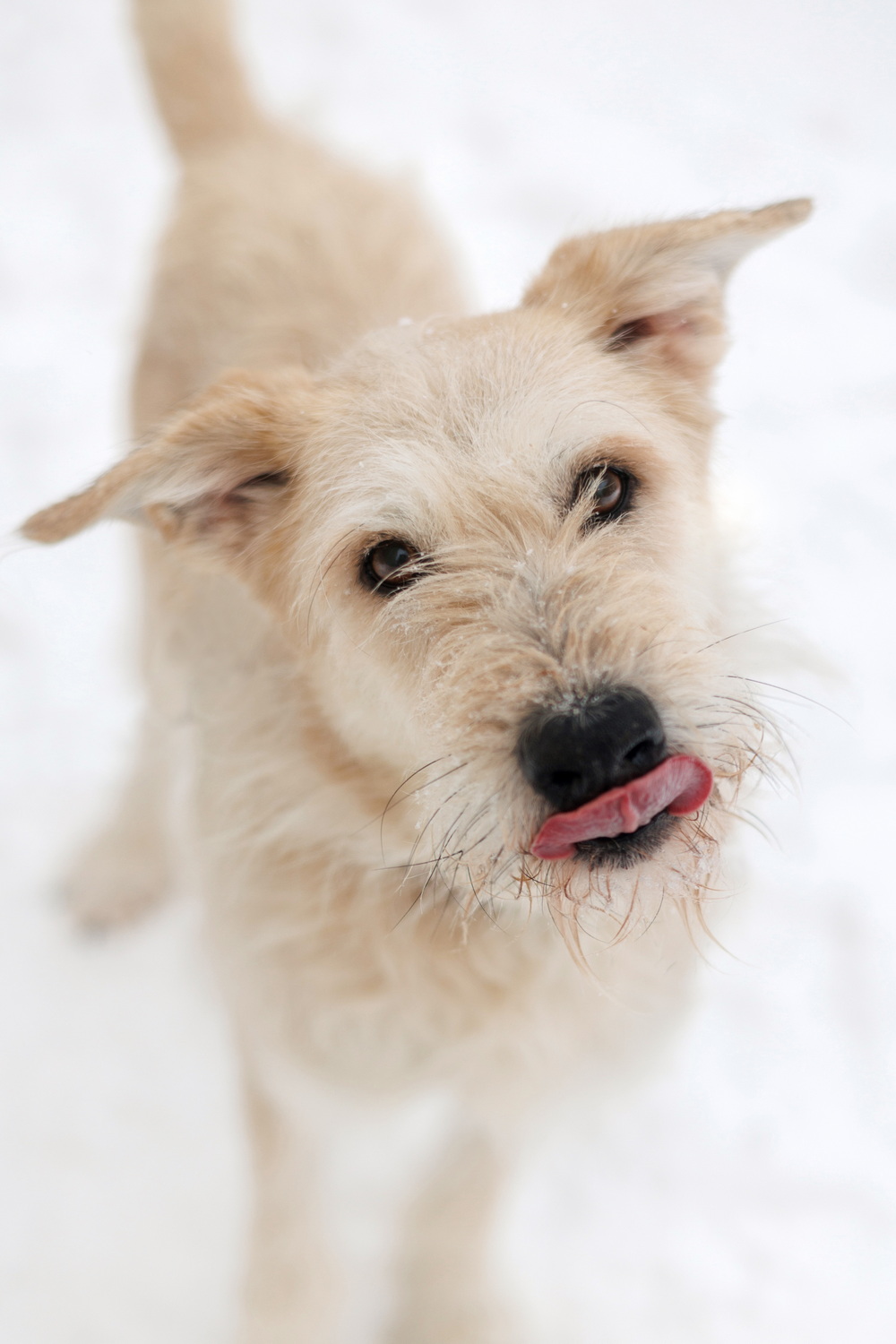 ph: Елена Тимофеева