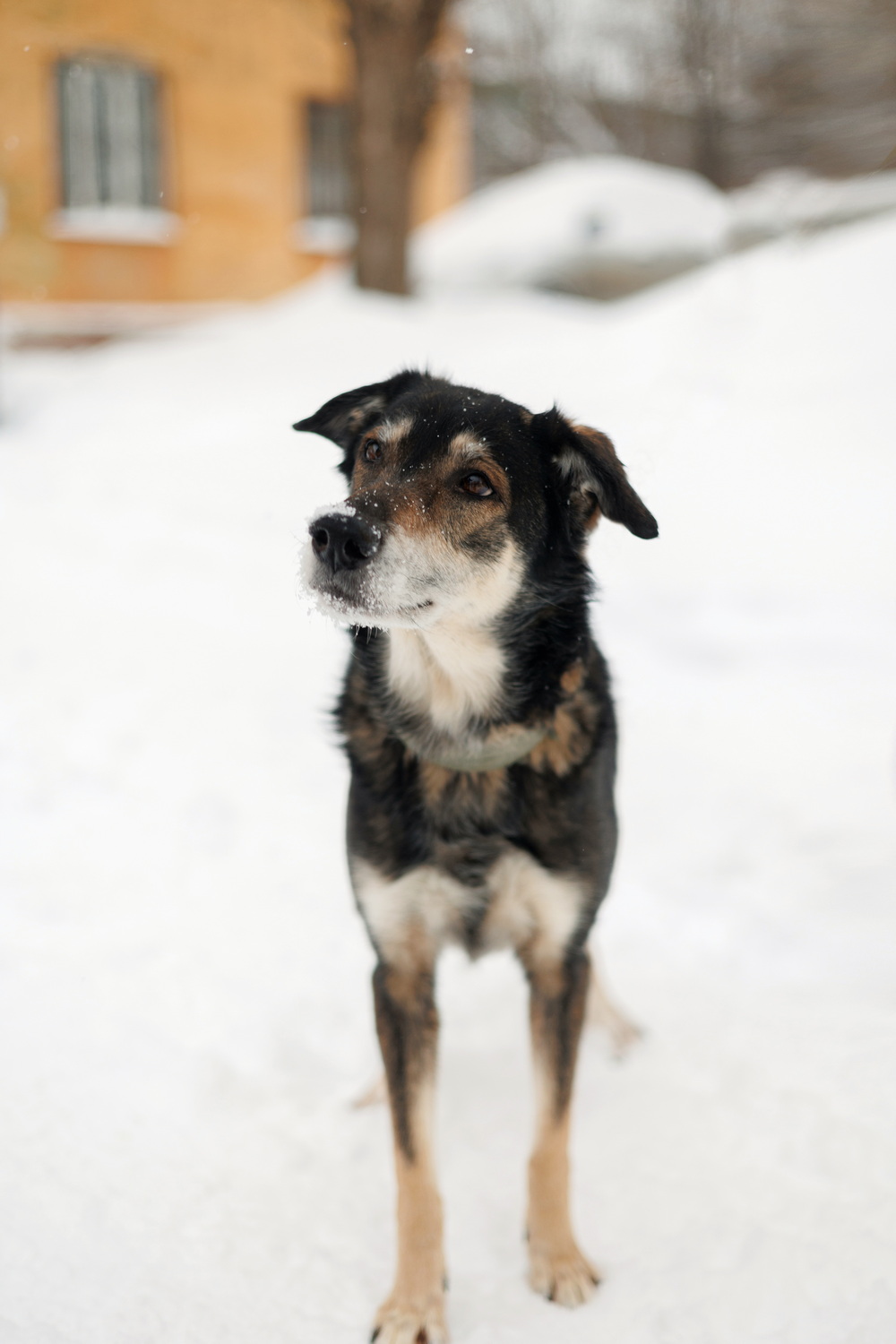 ph: Елена Тимофеева