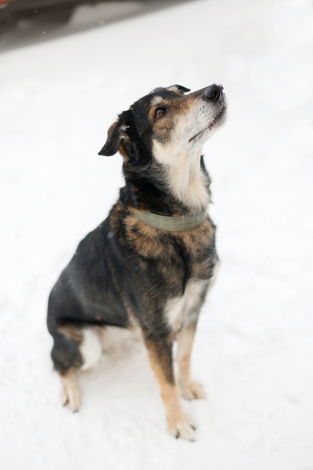 ph: Елена Тимофеева