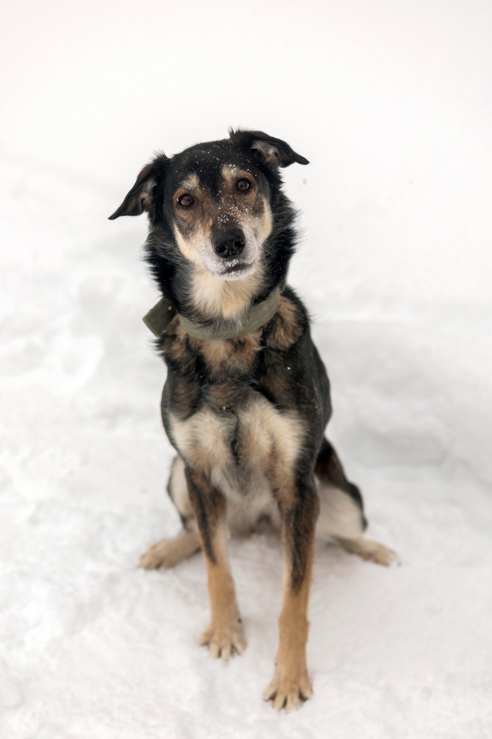 ph: Елена Тимофеева